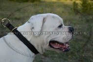 Effective Choke Collar For Bulldogs Braided Design "Rattlesnake"